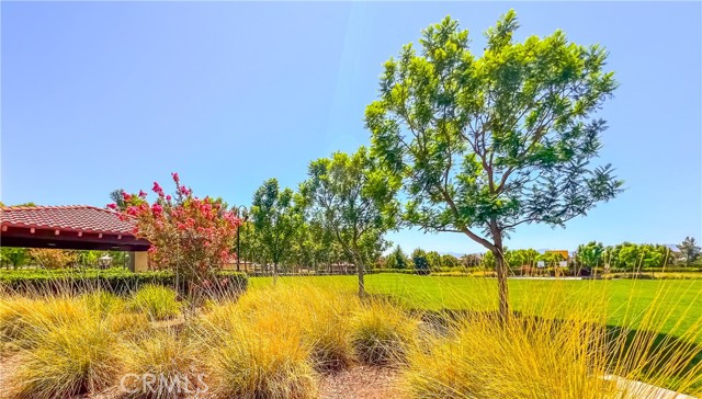 Detail Gallery Image 22 of 24 For 15767 Moonflower Ave, Chino,  CA 91708 - 5 Beds | 3 Baths