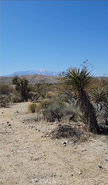 Detail Gallery Image 2 of 16 For 0 Palo Verde, Morongo Valley,  CA 92256 - – Beds | – Baths