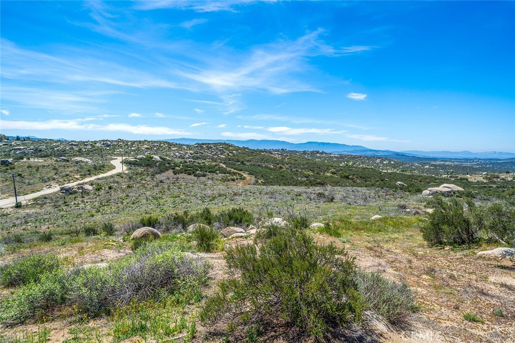 MLS #SW25198130 image #33