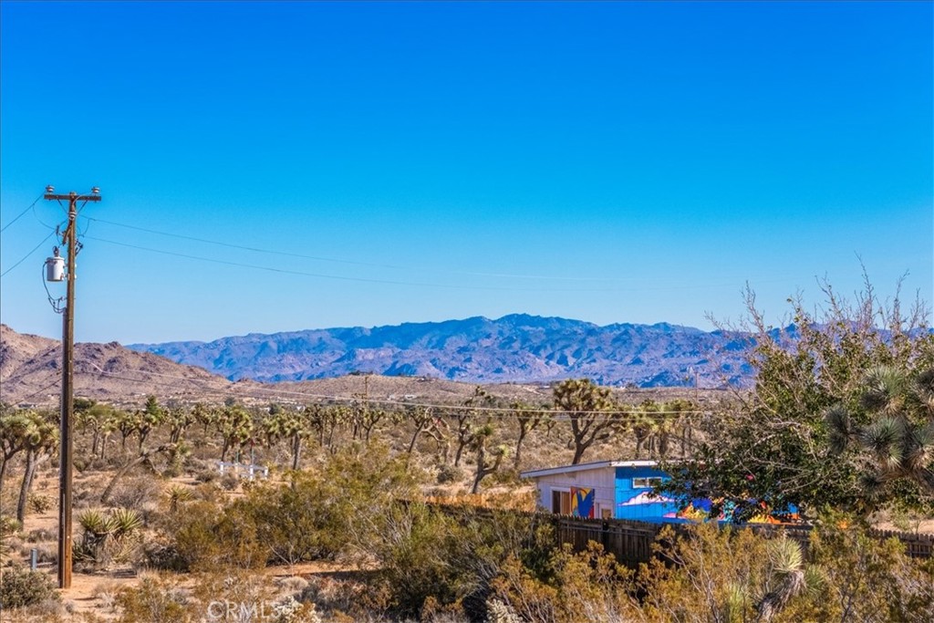 MLS #JT25260837 image #4