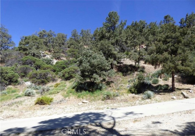 Detail Gallery Image 4 of 5 For 0 Escolon Trl, Frazier Park,  CA 93225 - – Beds | – Baths