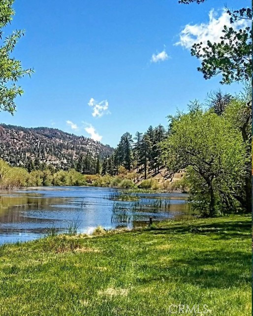 Detail Gallery Image 17 of 24 For 1301 Irene St, Wrightwood,  CA 92397 - 3 Beds | 1 Baths