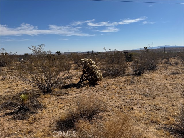 Detail Gallery Image 5 of 6 For 1175 Inca Trl, Yucca Valley,  CA 92284 - – Beds | – Baths