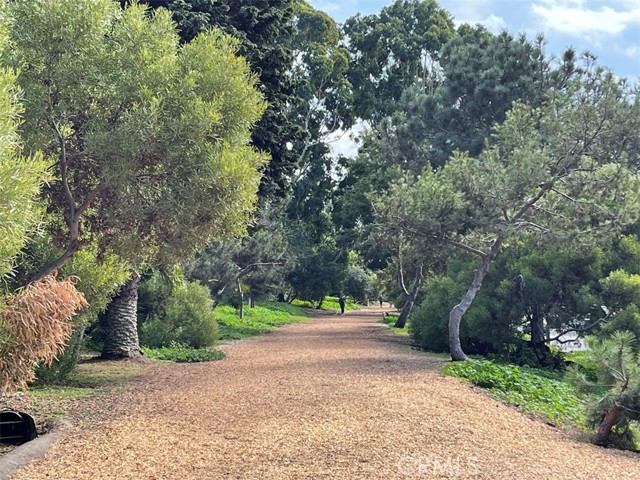 Across the street from Valley Park, is the greenbelt that runs through Hermosa and Manhattan Beach.: walk, run or exercise, look at the plants, birds and other wildlife. A great place to 