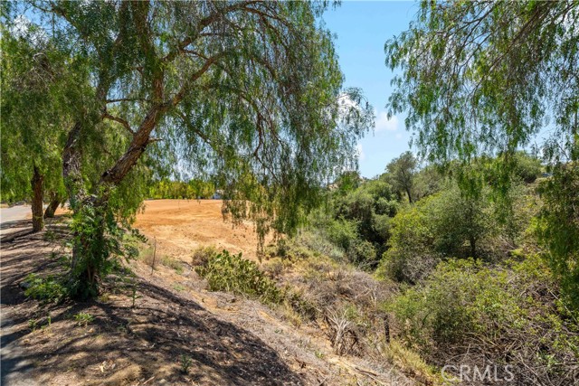 Image 3 for 0 Olive Hill Rd, Fallbrook, CA 92028