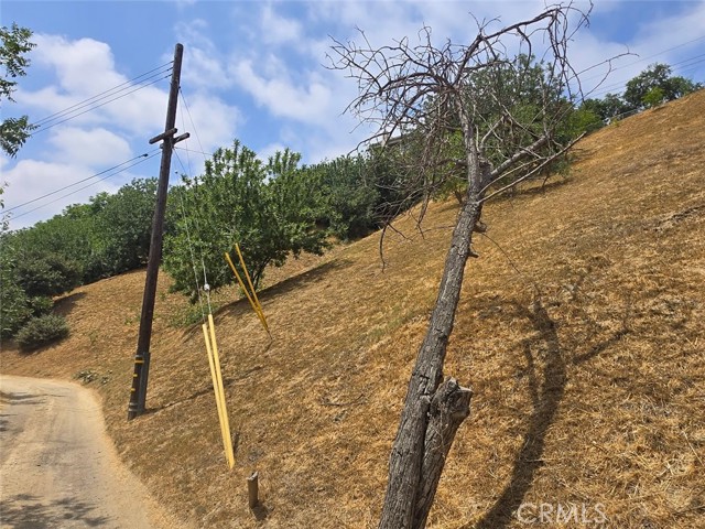 Detail Gallery Image 1 of 1 For 2605 Forest Park Dr, El Sereno,  CA 90032 - – Beds | – Baths