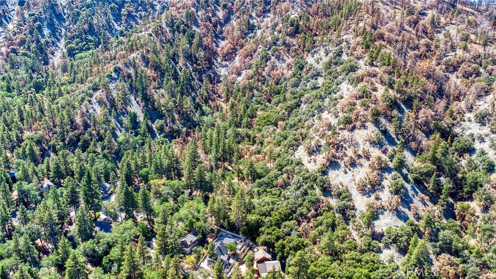 MLS #HD25219031 image #5