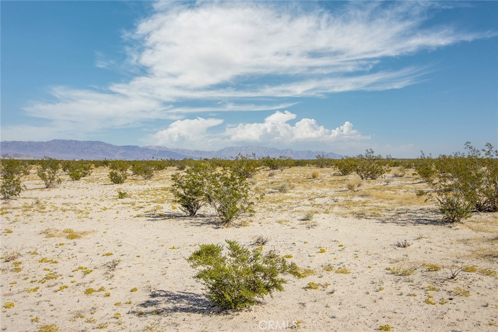 MLS #JT25255739 image #1