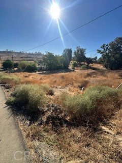 MLS #IV24219024 img 3