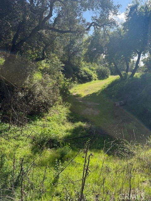0 Greenwich Road, Glendale CA: https://media.crmls.org/medias/d3e3e24b-f487-44da-b4fc-baeee59b359e.jpg