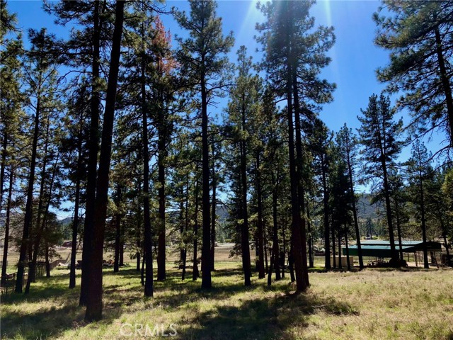 0 Butterfly Peak Rd, Mountain Center, CA, 92561 0 Butterfly Peak Rd, Mountain Center, CA, 92561