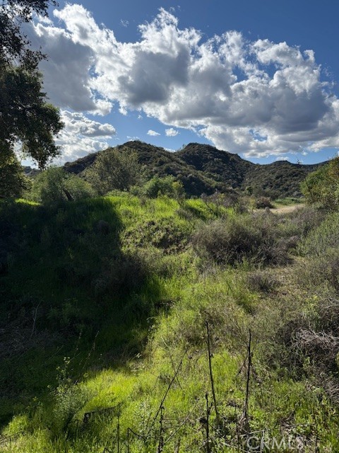 0 Greenwich Road, Glendale CA: https://media.crmls.org/medias/d3ef7dce-5ca9-4908-8a3e-0e9b749c5a31.jpg