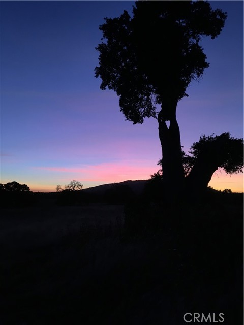 Detail Gallery Image 22 of 23 For 2187 Tinkers Penny, Catheys Valley,  CA 95306 - – Beds | – Baths