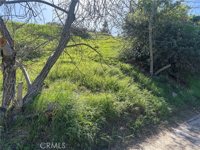 Front Image Thumbnail for CRDW26022960