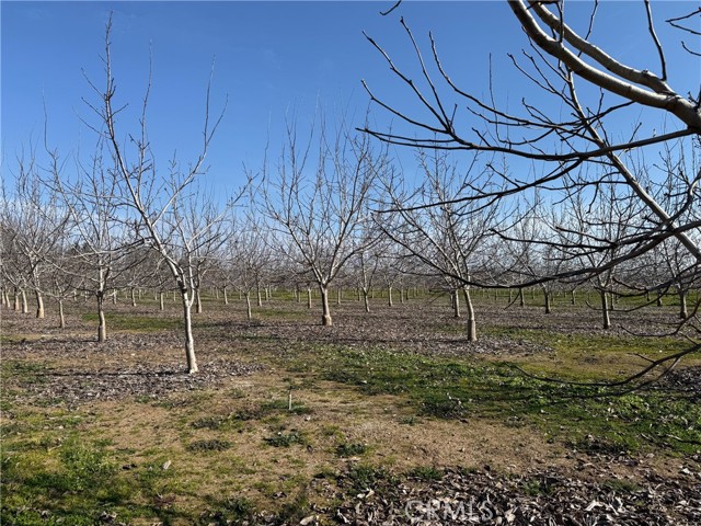 Detail Gallery Image 11 of 18 For 0 Mcfadden Ln, Chico,  CA 95928 - – Beds | – Baths