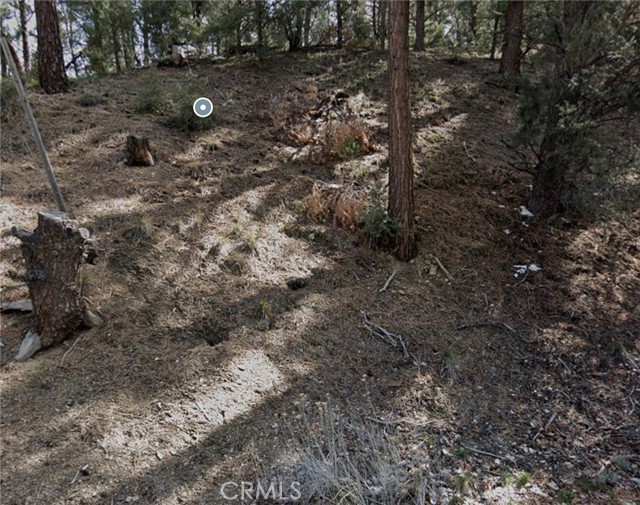 Pine Mountain Club, CA 93222