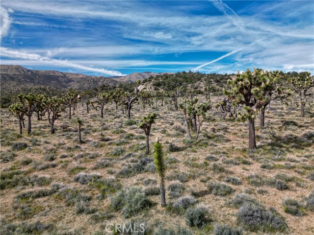 Detail Gallery Image 3 of 33 For 27 Vista Rd, Pioneertown,  CA 92356 - – Beds | – Baths