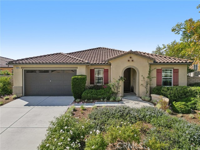 Front Image Thumbnail for CRIV25240540