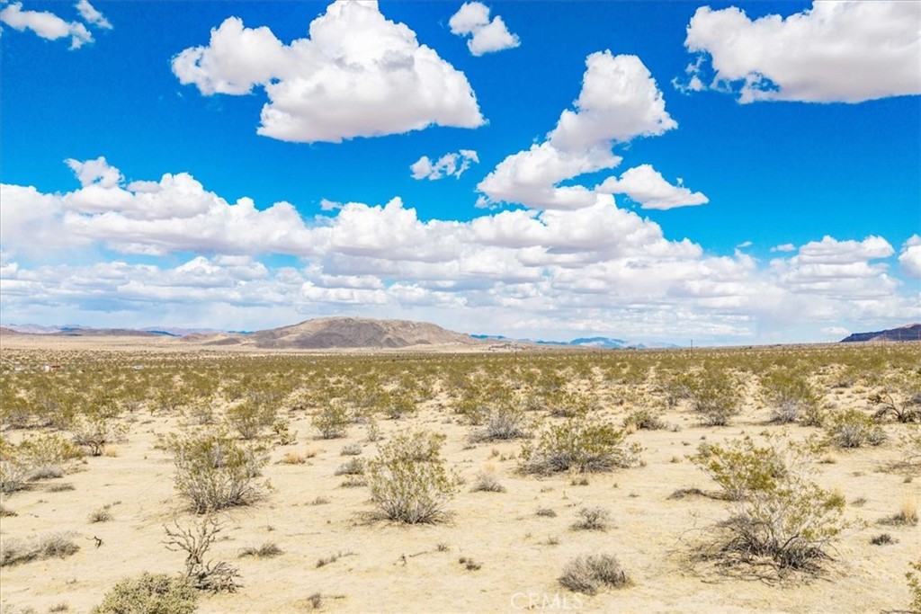 MLS #JT25078199 image #3