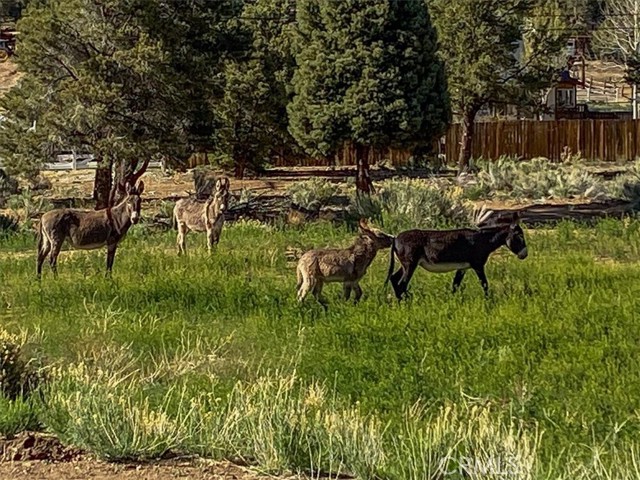 550 Eagle Ridge Rd, Big Bear, CA 92314