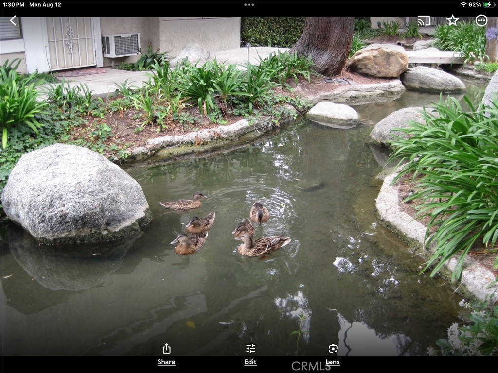 D410dd89 47ef 4af0 A5e9 0cdc0d192f10