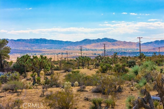 Detail Gallery Image 44 of 75 For 5324 Paradise View Rd, Yucca Valley,  CA 92284 - 2 Beds | 1 Baths