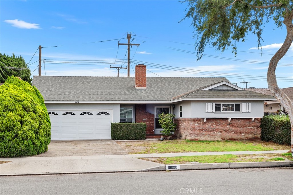 15690 Poinsettia