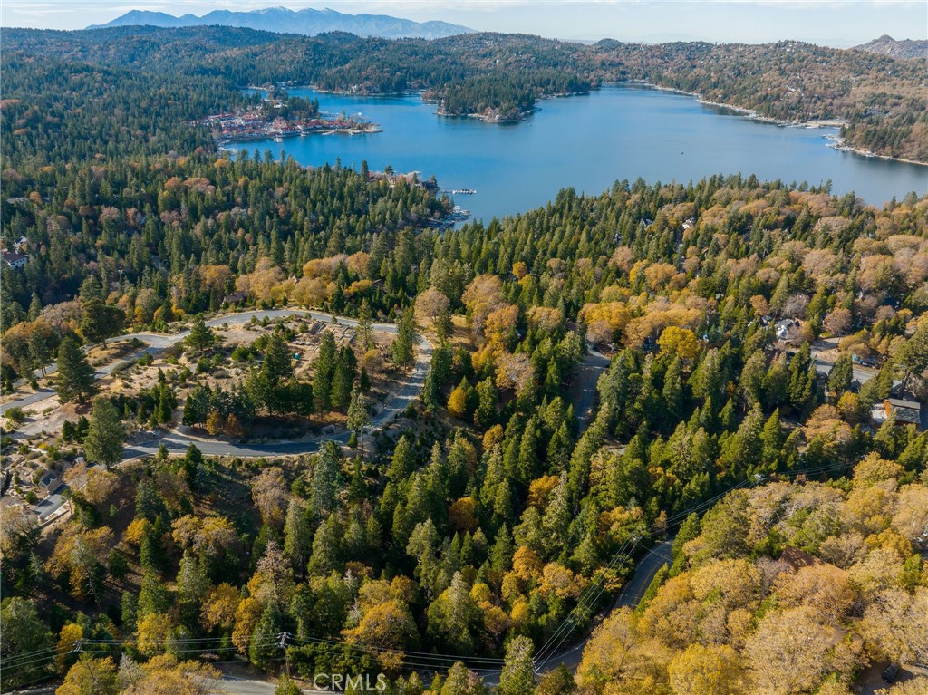 175 Mill Pond Road, Lake Arrowhead, CA 92352