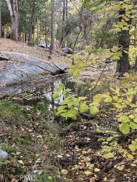 Detail Gallery Image 40 of 43 For 2458 Coachman, Mariposa,  CA 95338 - 3 Beds | 2/1 Baths