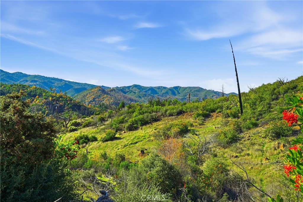 MLS #LC25273256 image #14