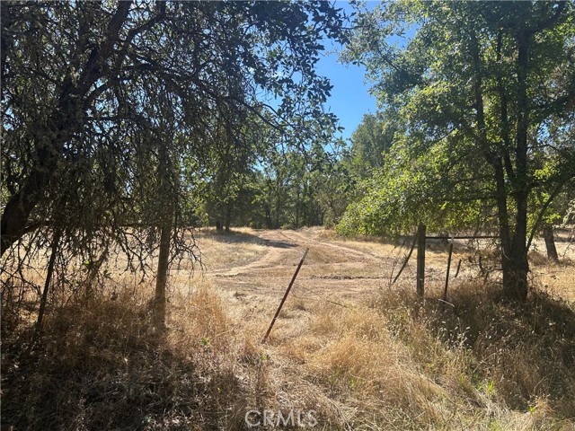 Detail Gallery Image 6 of 20 For 1000 Eva Way, Lakeport,  CA 95453 - – Beds | – Baths