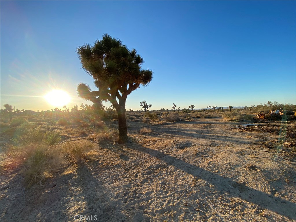 MLS #HD25093308 image #6