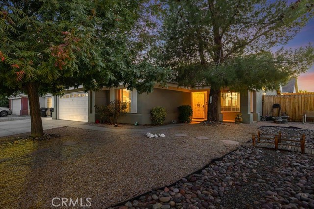 Front Image Thumbnail for CRSR25252420