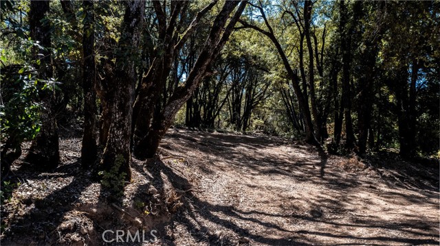 Detail Gallery Image 60 of 65 For 9145 Mombacho Rd, Kelseyville,  CA 95451 - 4 Beds | 2/1 Baths