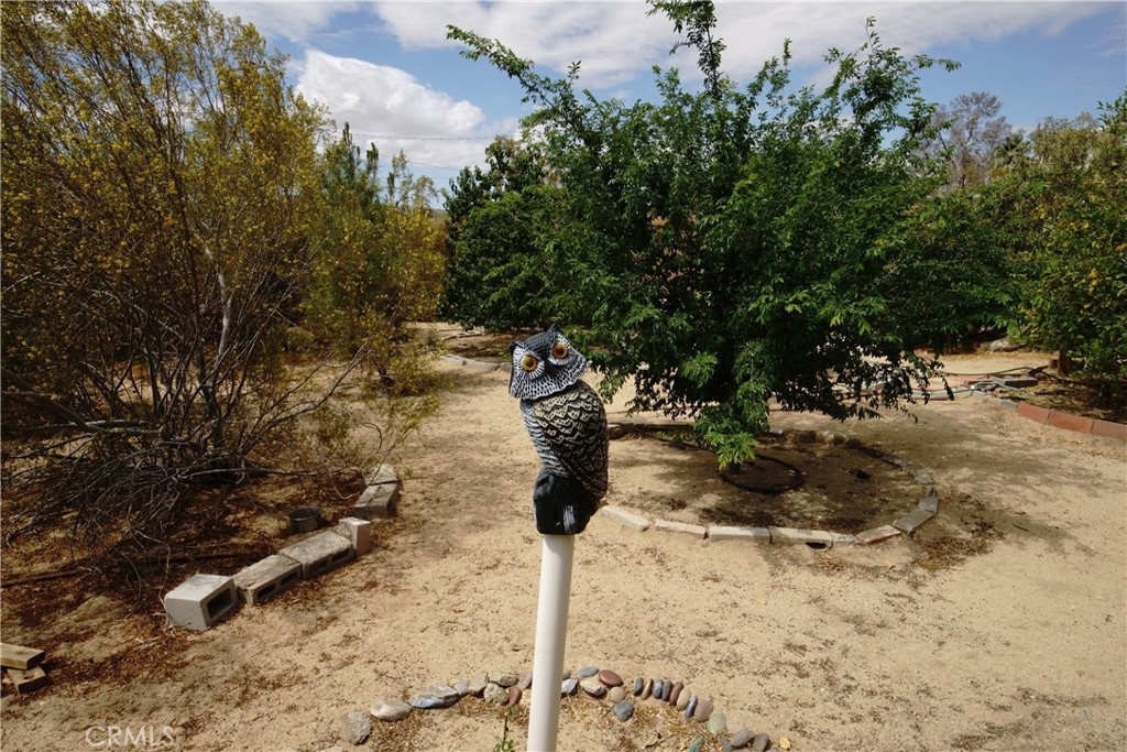 MLS #JT25086072 img 31