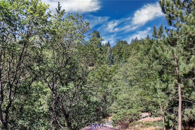 177 Craghill, Cedar Glen, CA 92321