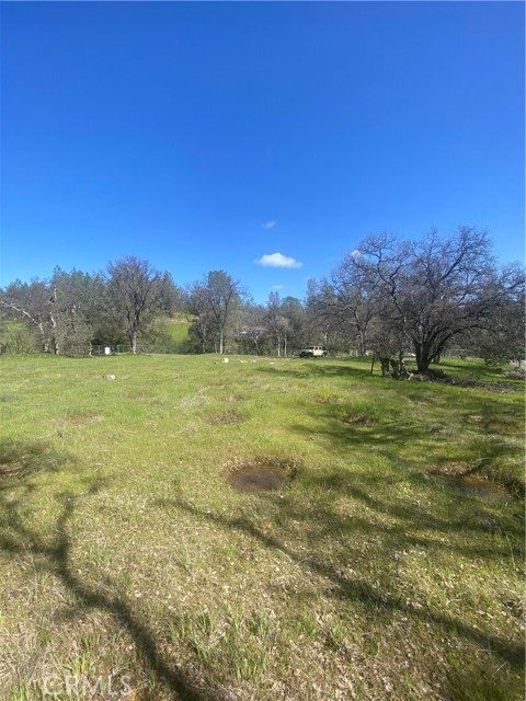 16587 Stagecoach Road, Corning, California 96021, ,Land,For Sale,16587 Stagecoach Road,CRFR23051146