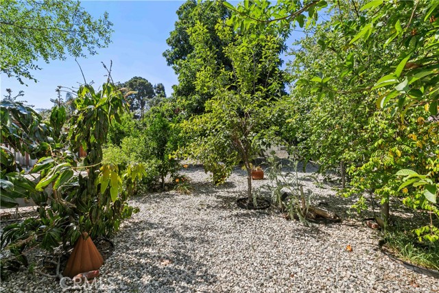 17533 Raymer Street, Sherwood Forest CA: https://media.crmls.org/medias/d4379196-9f75-40ef-bb9c-a11f5cbca13d.jpg