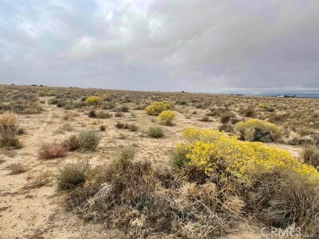 0 65th St. W & Ave G-4, Lancaster CA: https://media.crmls.org/medias/d439f4e0-5416-40fe-a9af-bb63a16eaa15.jpg