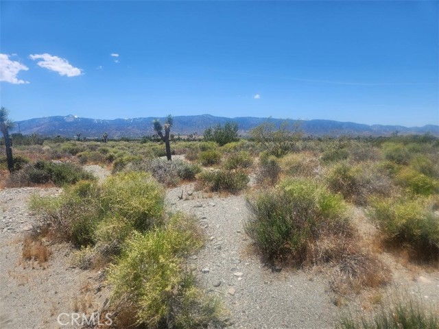 Detail Gallery Image 5 of 8 For 0 Minero Rd, Pinon Hills,  CA 92372 - – Beds | – Baths