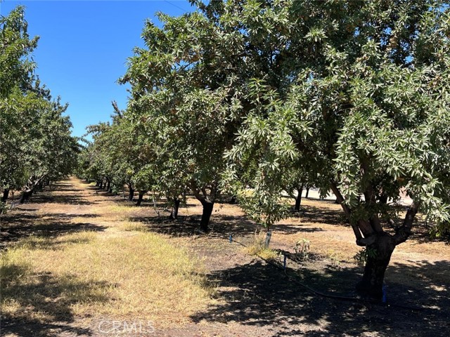 Detail Gallery Image 2 of 4 For 7149 Marianna Rd, Delhi,  CA 95315 - – Beds | – Baths