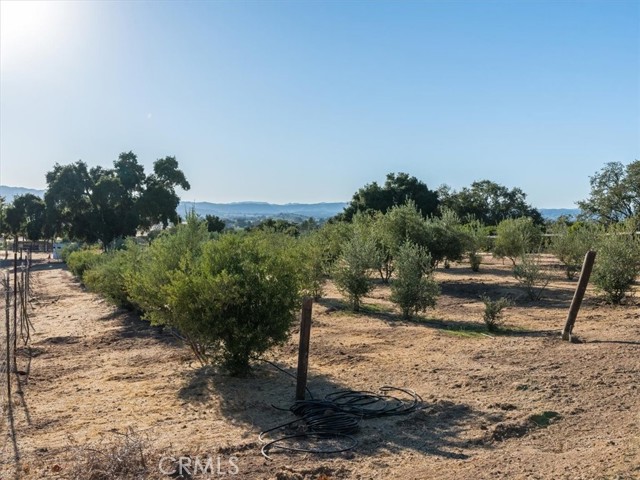 Detail Gallery Image 14 of 67 For 1845 Lupine L Ln, Templeton,  CA 93446 - 2 Beds | 1 Baths