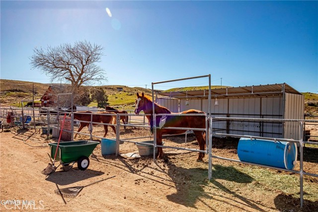 Detail Gallery Image 45 of 69 For 45408 160th, Lancaster,  CA 93536 - 1 Beds | 1 Baths
