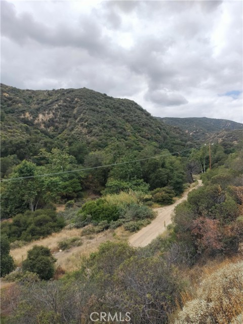 Front Image Thumbnail for CRPW26091817