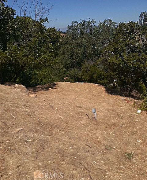 3230 Coldwater Canyon photo 3