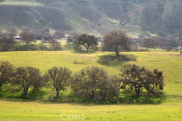 Detail Gallery Image 15 of 52 For 3470 Ranchita Cyn Rd, San Miguel,  CA 93451 - – Beds | – Baths