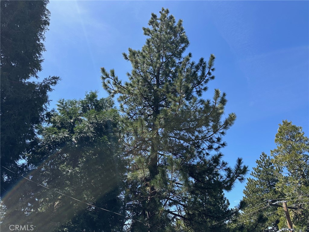 https://media.crmls.org/medias/d450f95f-afeb-4e79-a12d-c5874289f577.jpg?preset=X-Large