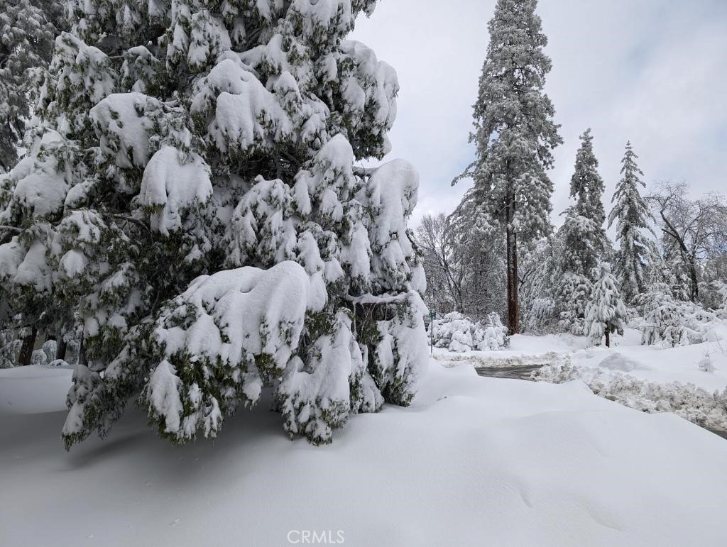 MLS #SW25239253 image #20