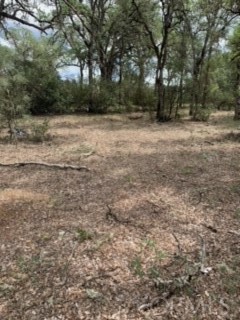 16288 12th, Clearlake, CA, 95422 16288 12th, Clearlake, CA, 95422