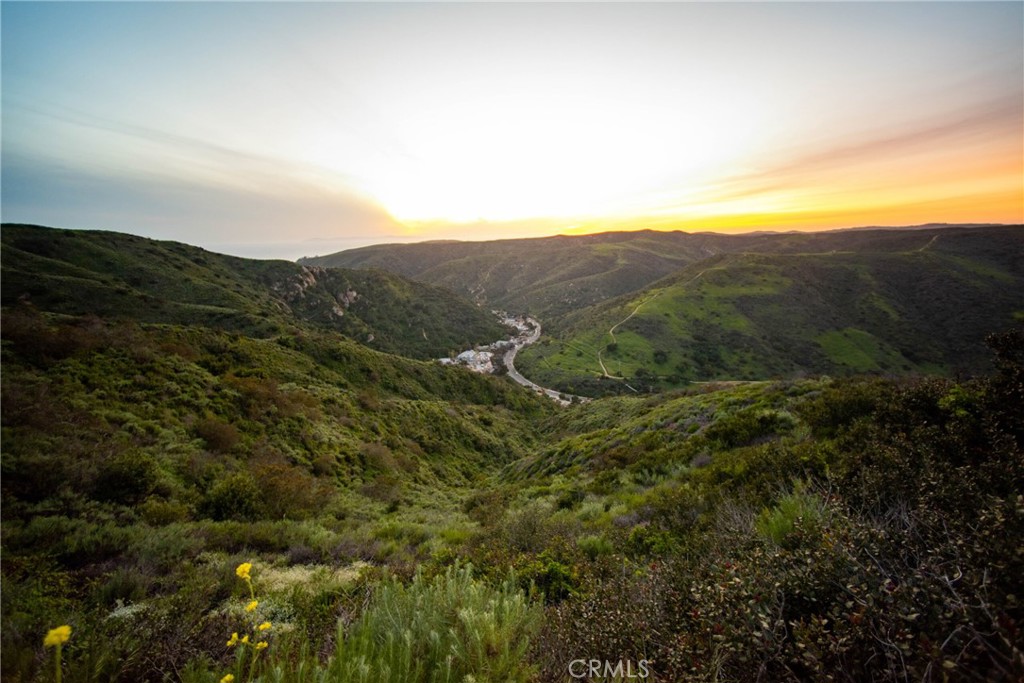 MLS #OC25250506 image #46